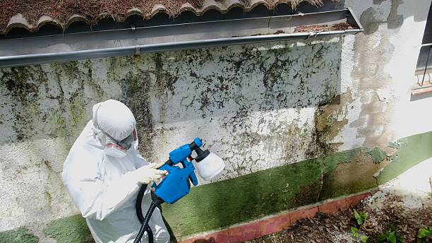 Top rated local Commercial Mold Remediation specialists in Boxford, MA